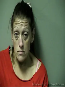 Mugshot of MEGAN ELIZABETH TOMPKINS