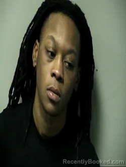 Mugshot of JOSHUA LEON FAIN