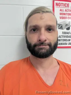 Mugshot of CHRISTOPHER ANTHONY DSILVA