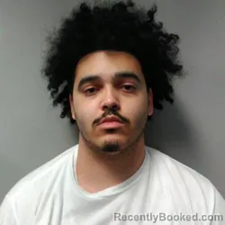 Mugshot of TREVONE JAMES ANTHONY FITZGERALD