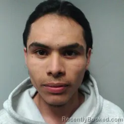 Mugshot of JAIRO FERNANDO MENDOZA PALMA