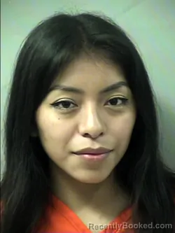 Mugshot of STEPHANIE SANCHEZ-DIONICIO