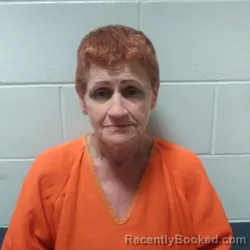 Mugshot of DEBRA KAY COLVIN