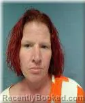 Mugshot of MEGAN JOHNSON