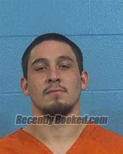 Booking photo from Williamson County, Texas