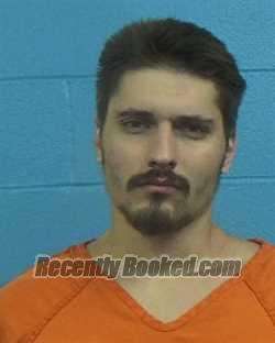 Booking photo from Williamson County, Texas