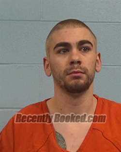 Booking photo from Williamson County, Texas