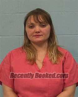 Booking photo from Williamson County, Texas