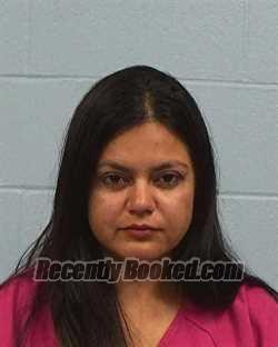 Booking photo from Williamson County, Texas