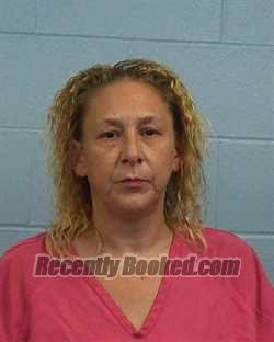 Booking photo from Williamson County, Texas