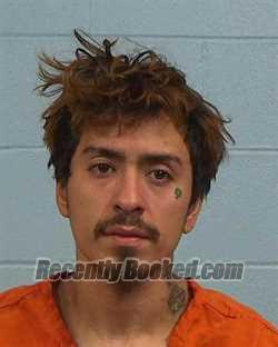 Booking photo from Williamson County, Texas