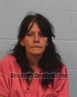 Booking photo from Williamson County, Texas