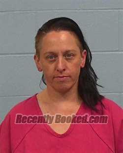 Booking photo from Williamson County, Texas