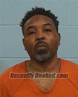 Booking photo from Williamson County, Texas