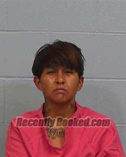 Booking photo from Williamson County, Texas