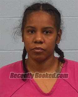 Booking photo from Williamson County, Texas