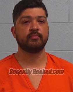 Booking photo from Williamson County, Texas