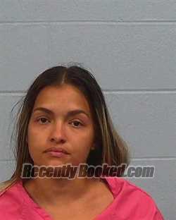 Booking photo from Williamson County, Texas