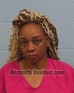 Booking photo from Williamson County, Texas