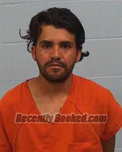 Booking photo from Williamson County, Texas
