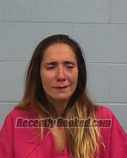 Booking photo from Williamson County, Texas