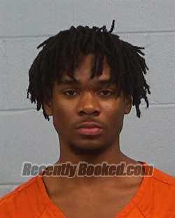 Booking photo from Williamson County, Texas