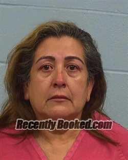 Booking photo from Williamson County, Texas