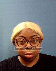 Booking photo from Williamson County, Texas