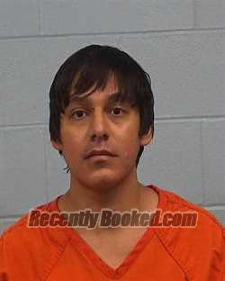 Booking photo from Williamson County, Texas