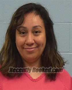 Booking photo from Williamson County, Texas