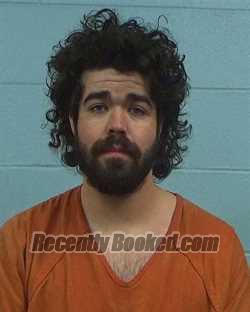 Booking photo from Williamson County, Texas