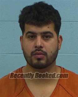 Booking photo from Williamson County, Texas