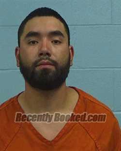 Booking photo from Williamson County, Texas