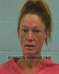 Booking photo from Williamson County, Texas