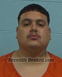 Booking photo from Williamson County, Texas