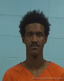 Booking photo from Williamson County, Texas