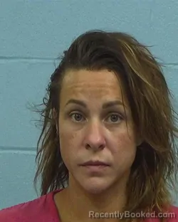 Booking photo from Williamson County, Texas