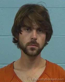 Booking photo from Williamson County, Texas