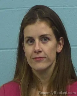 Booking photo from Williamson County, Texas