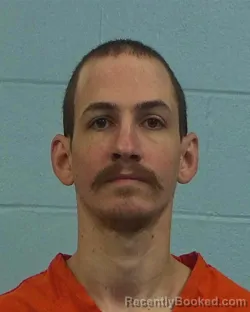 Booking photo from Williamson County, Texas