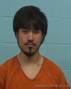 Booking photo from Williamson County, Texas