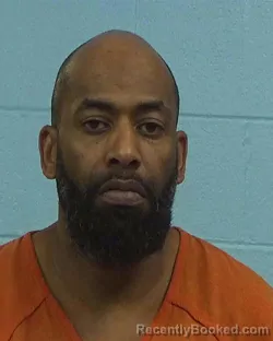 Booking photo from Williamson County, Texas