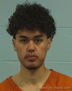 Booking photo from Williamson County, Texas