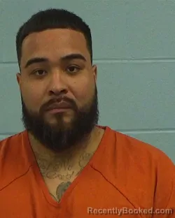 Booking photo from Williamson County, Texas