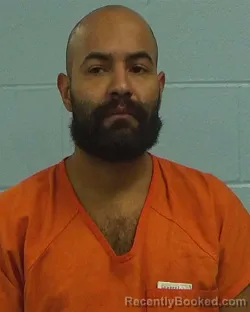 Booking photo from Williamson County, Texas