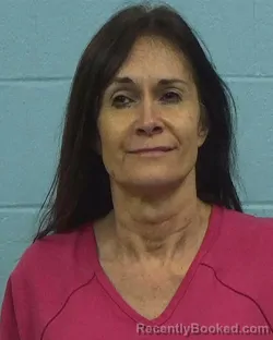 Booking photo from Williamson County, Texas