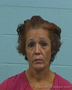 Booking photo from Williamson County, Texas