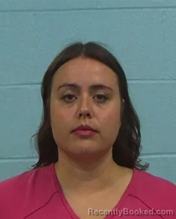 Booking photo from Williamson County, Texas