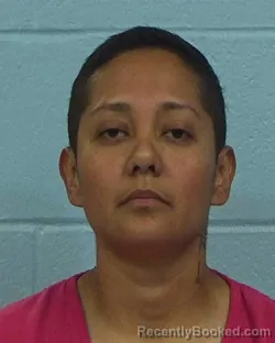 Mugshot of Ana Galvan Ventura