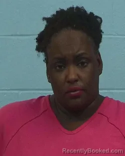 Booking photo from Williamson County, Texas